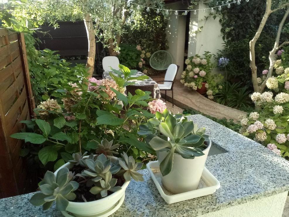 Apartma Lavander *