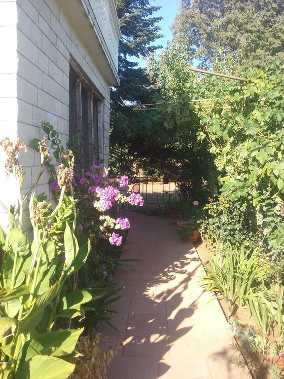 Lavander Apartma *