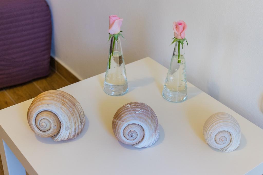 Apartment Lavander